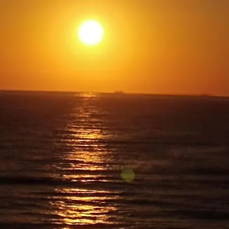 Caballito De Mar